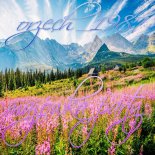 orzech_1987 - majówka party 2k25