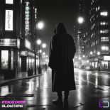 Indigo Deep - Slow Time