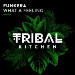 Funkera - What a Feeling