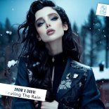 DNDM & Davvi - Feeling The Rain