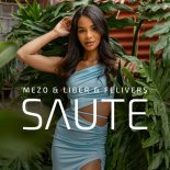 Mezo x Liber x Felivers - Saute