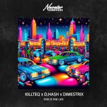 Killteq & D. Hash feat. Dimestrix - This Is The Life (DJ Brooklyn Edit)