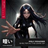 Poly Powder - Shelter in the Dark
