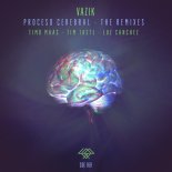 Vazik - Proceso Cerebral (TiM TASTE Remix)