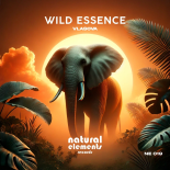 VLASOVA (ofc) - Wild Essence (Extended Mix)