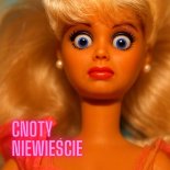 Alicja Janosz & Mr. Shuffle - Cnoty Niewieście