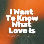 Kai Schwarz and Bruno Verdugo and Le on and Jason Anousheh- I Want to Know What Love Is