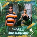 Doddy feat. Oana Radu - Strig In Gura Mare (DJ X-KZ Dance Remix 2025)