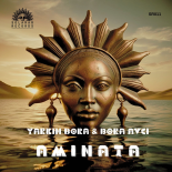 Yarkin Bora, Bora Avci - Aminata (Original Mix)