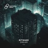 Bitwake - Dream