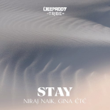 Niraj Naik, GINA ÉTÉ - Stay (Extended Mix)