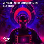 SB Project meets Damaged System - Ready To Acid