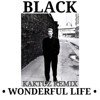 Black - Wonderful Life 2025 (KaktuZ RemiX)