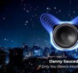 Danny Saucedo — If Only You (Beeck Moolin remix)