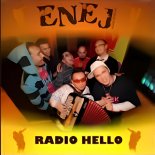 Enej x The Stickmen Project feat. Sadie Rose Van - Radio Hallo x Circles (Roland Mashup