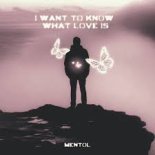 Foreigner - I Want to Know What Love Is (Mentol Remix Extended)