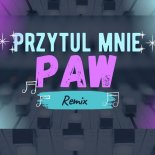 PAW - Przytul Mnie (Remix Borys LBD)