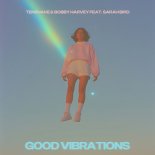 Tensnake, Bobby Harvey, Sarah Bird - Good Vibrations