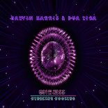 Calvin Harris & Dua Lipa - One Kiss (Blexxter Bootleg)