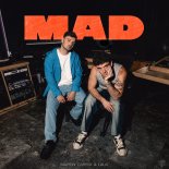 Martin Garrix & Lauv - MAD (Extended Mix)