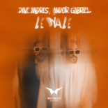 Andor Gabriel, Dave Andres - Lenale (Original Mix)