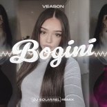 VEASON - BOGINI (Dj Squirrel Remix) 2025