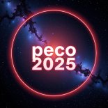 Peco - Feb House Techno Dance Hardstyle Mix 2025.02.28