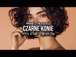 MASSiVE - Czarne Konie (Z Rep. Ding Dong) (Tr!Fle & LOOP & Black Due REMIX)