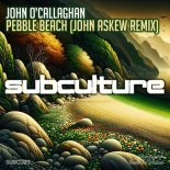 York - The Awakening (Stowers & Cooper Extended Remix)