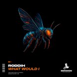 Roddih - What Would I (Original Mix)