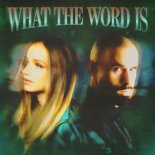 Jackie Hollander, Malone & Baby Bash - What The Word Is