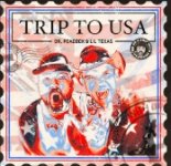 Dr. Peacock & Lil Texas - Trip to USA (Original Mix)