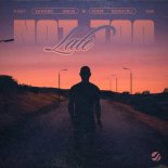 Edward Maya & Adem Bogoceli - Not Too Late