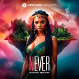 Wilgenis Vergara - Never (Extended)