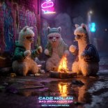 Cade Nolan - Bad Behaviour (Original Mix)