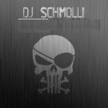 DJ Schmolli - We're Not Gonna Take Ü There (Acapella Intro) [2017] (XTD)