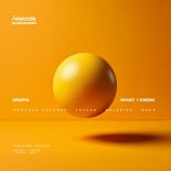 Dropa - What I Know (Original Mix)