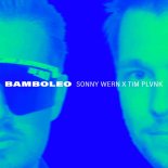 Sonny Wern & Tim Plvnk - Bamboleo