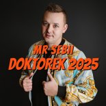 Mr Sebii - Doktorek 2025 (Radio Edit)