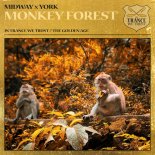 Midway & York - Monkey Forest