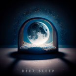 PLVTINA & W.J.REC - Deep Sleep