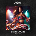 DIMESTRIX & VALLHEE - Single Lady