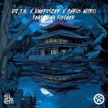 DJ T.H., Enerdizer, Chris Nitro feat. Nina Fischer - Shadows in the Dark