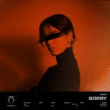 Janic - Sorry