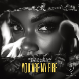Andi Vax, DJ Sensey, Dareel Marley - You Are My Fire (Extended Mix)