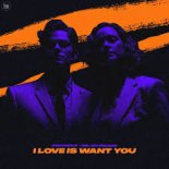Dinamixx & Milan Smaer - I Love Is Want You