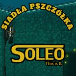 Soleo - Siadła pszczółka (Cover)