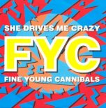 Fine Young Cannibals - She Drives Me Crazy (Melody Re-Edit)