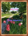 Melody - Crazy Megamix 1
