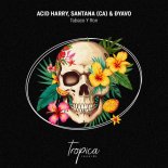 ACID HARRY, Ðyavo, Santana (CA) - Tabaco Y Ron (Extended Mix)